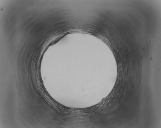 X0000083980289200703161604