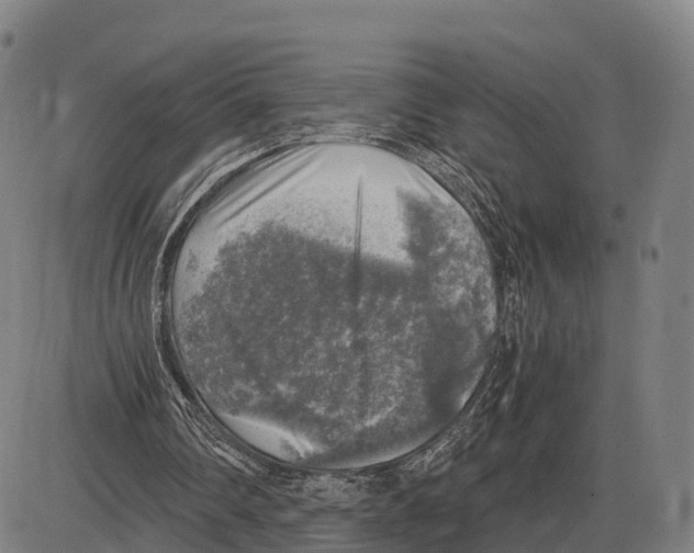 X0000083980290200703161604