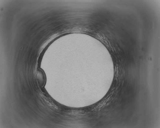 X0000083980292200703161604