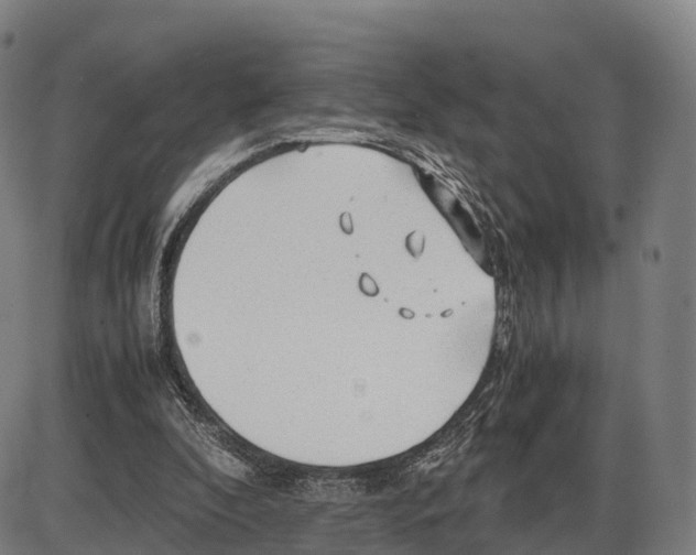 X0000083980296200703161604