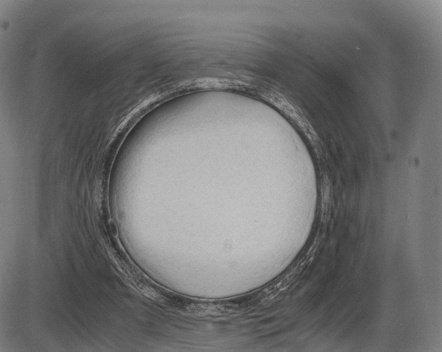 X0000083980297200703161604