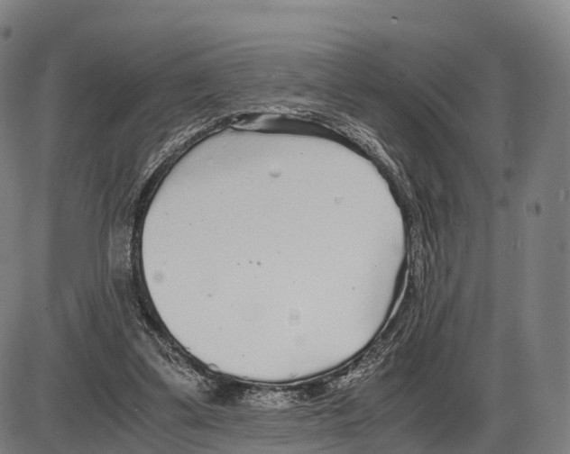 X0000083980299200703161604