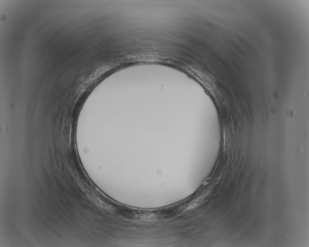 X0000083980301200703161604