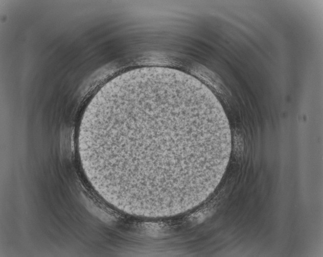 X0000083980302200703161604