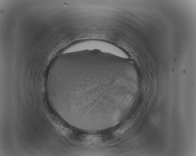 X0000083980303200703161604