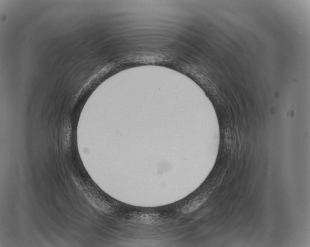 X0000083980304200703161604