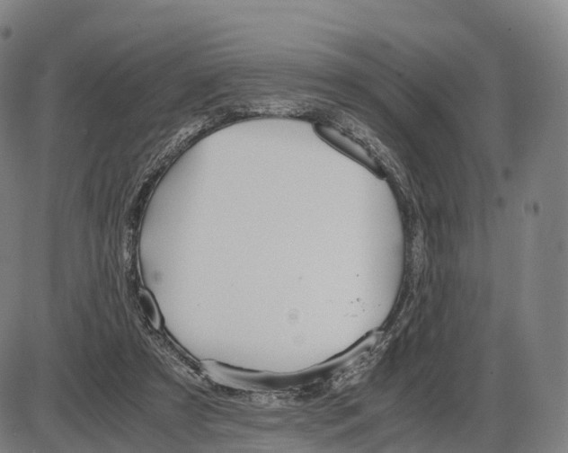 X0000083980305200703161604