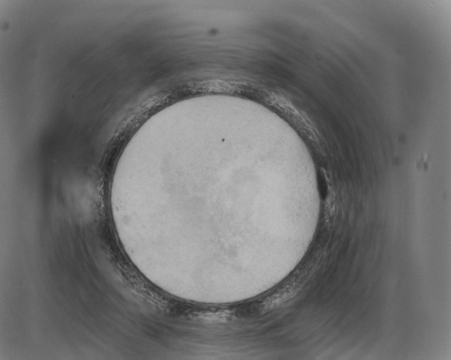 X0000083980306200703161604