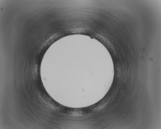 X0000083980308200703161604