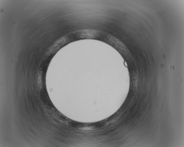 X0000083980312200703161604