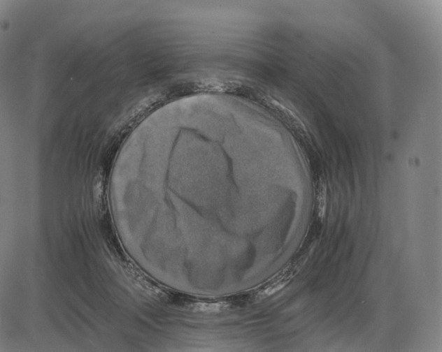 X0000083980314200703161604