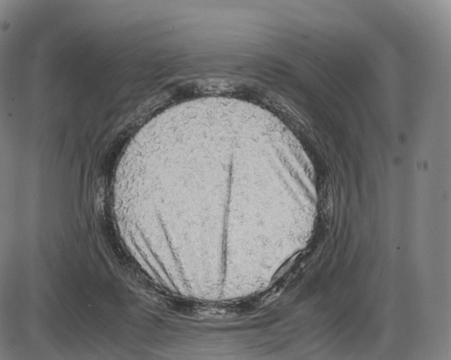 X0000083980315200703161604