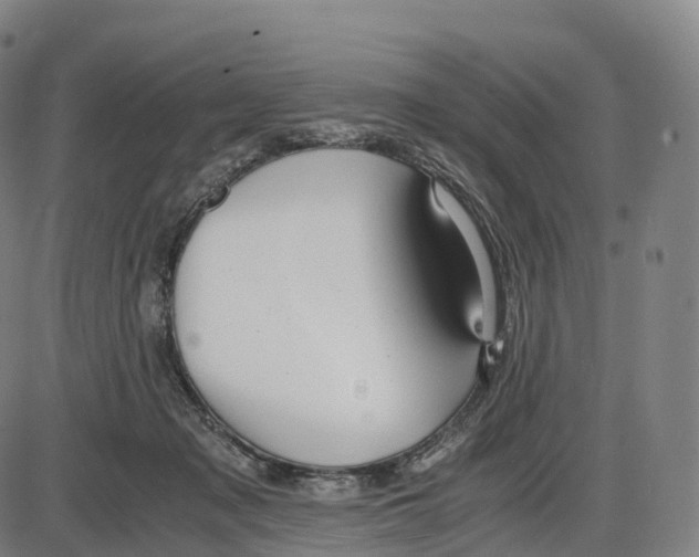 X0000083980317200703161604