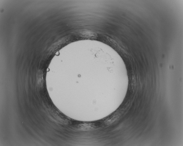 X0000083980320200703161604