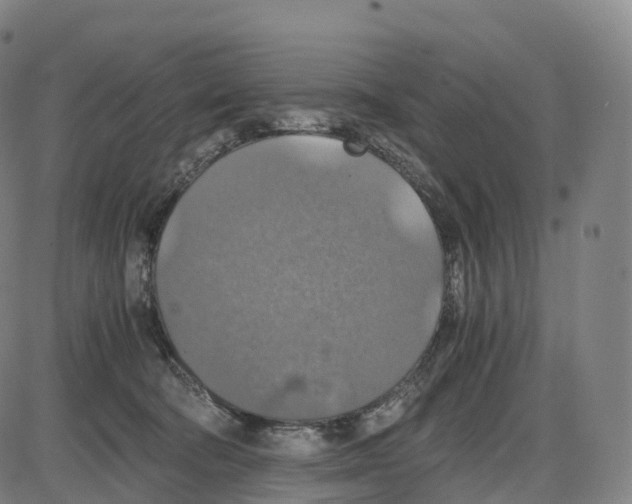 X0000083980322200703161604