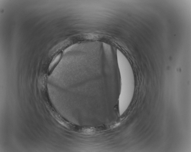 X0000083980325200703161604