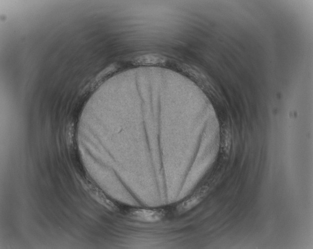 X0000083980326200703161604