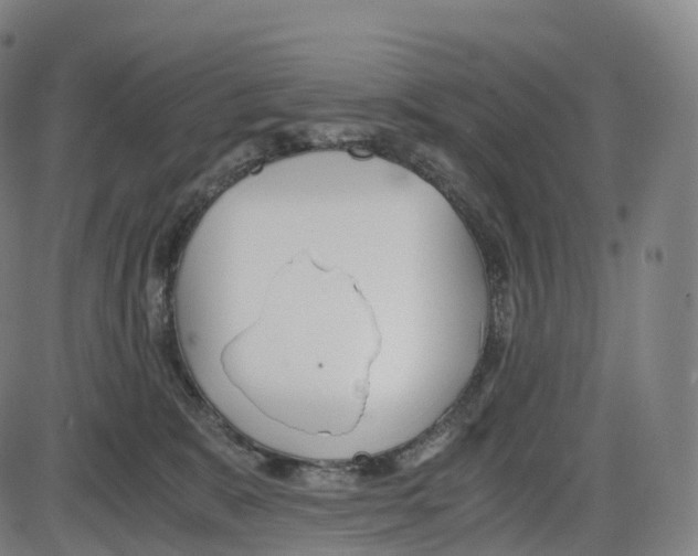 X0000083980327200703161603