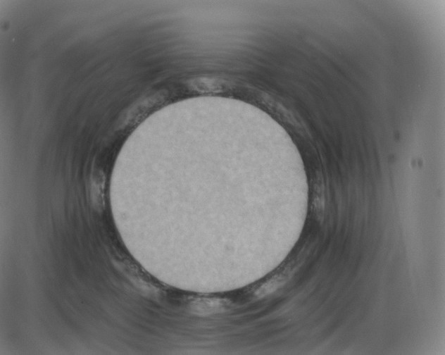 X0000083980332200703161603