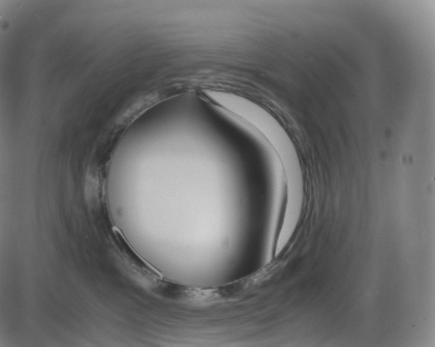 X0000083980333200703161603