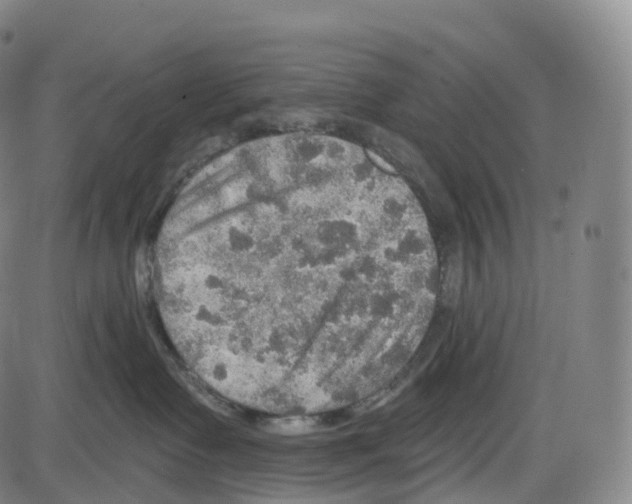 X0000083980335200703161603