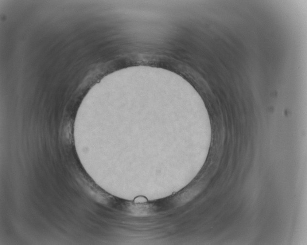 X0000083980336200703161603