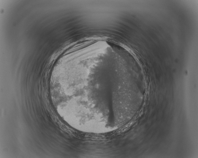 X0000083980337200703161602