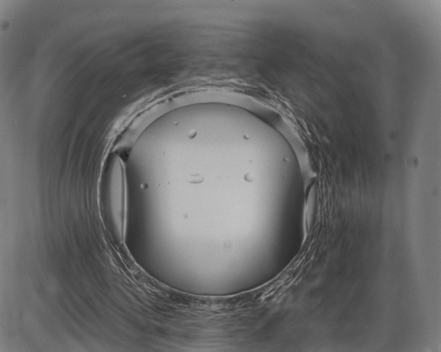 X0000083980340200703161603