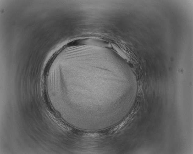 X0000083980342200703161603