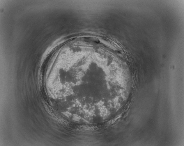 X0000083980343200703161603