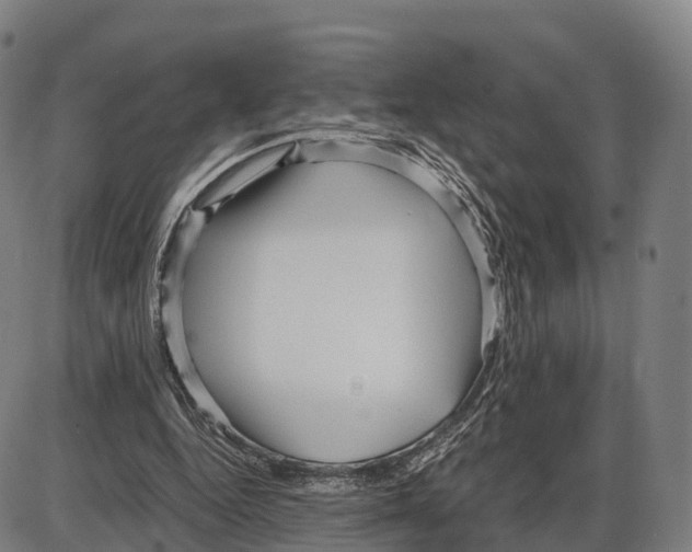 X0000083980344200703161603