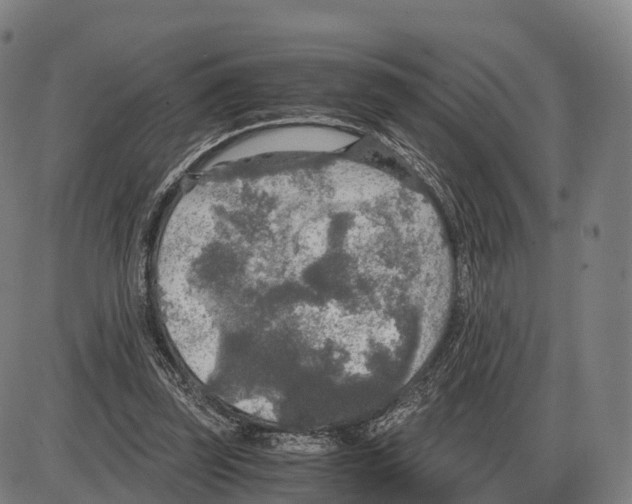 X0000083980347200703161603