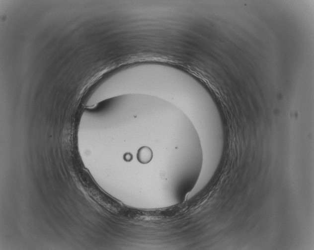 X0000083980352200703161603