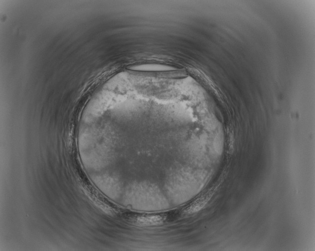 X0000083980357200703161603