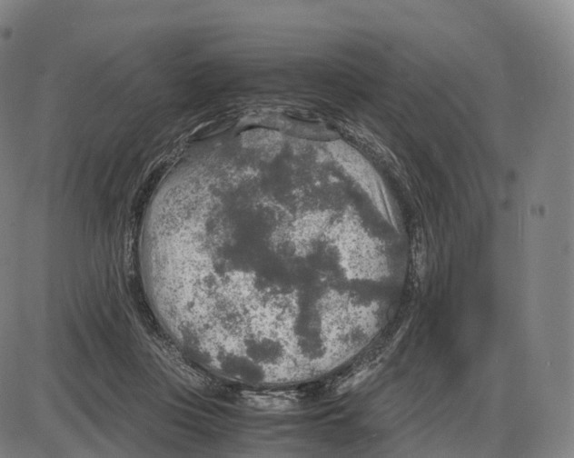 X0000083980359200703161603