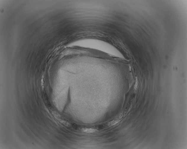 X0000083980360200703161603