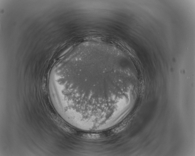 X0000083980361200703161603