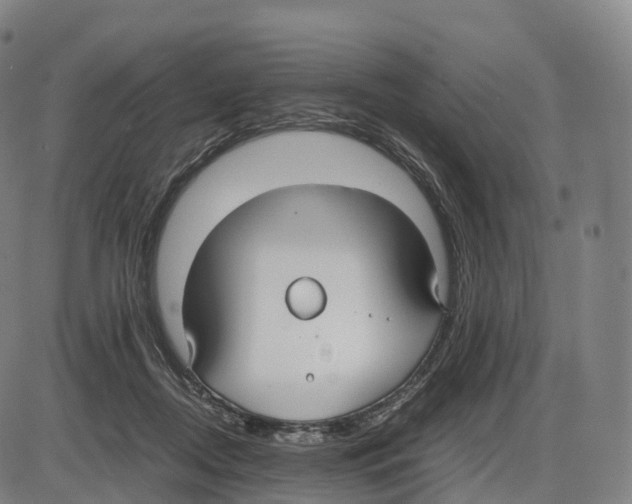 X0000083980362200703161603