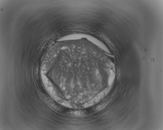 X0000083980365200703161603