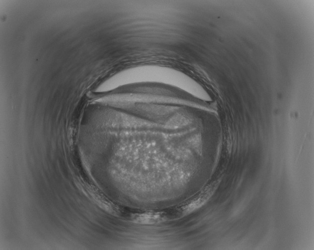 X0000083980366200703161603