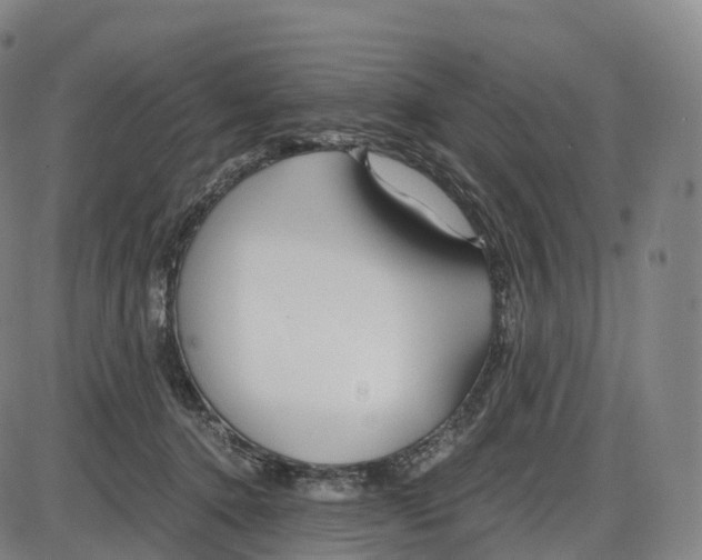 X0000083980368200703161603