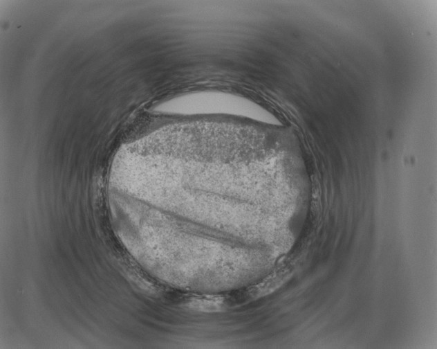 X0000083980369200703161603