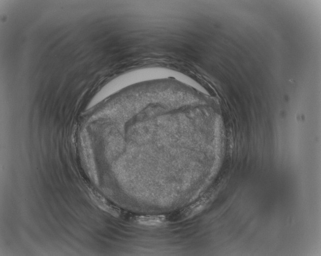 X0000083980373200703161603