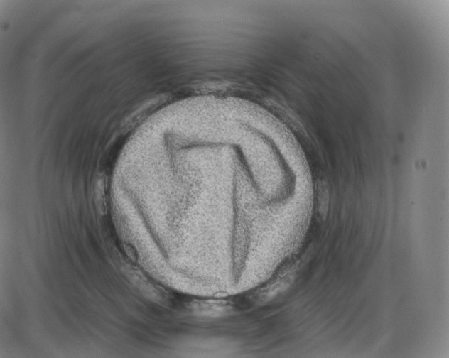 X0000083980378200703161603