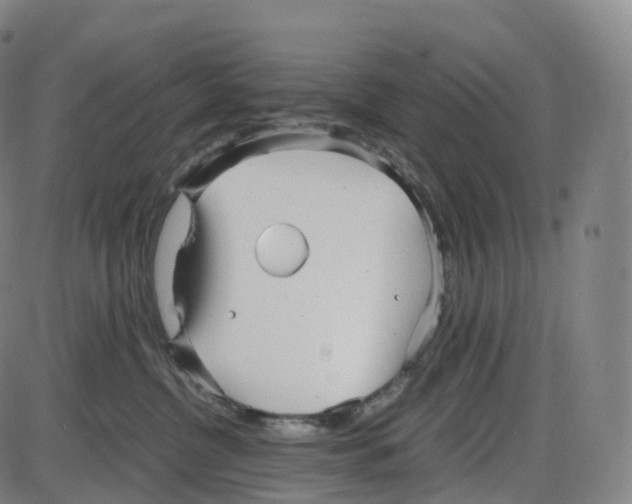 X0000083980380200703161603