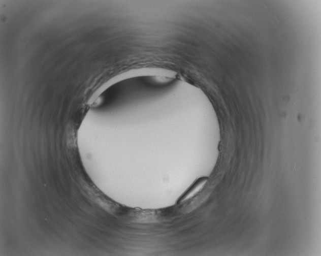 X0000083980384200703161603