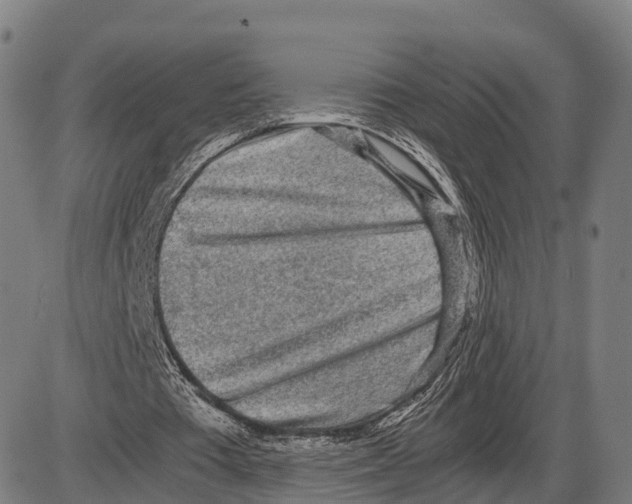 X0000083980385200703161602