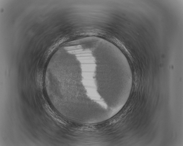 X0000083980386200703161602