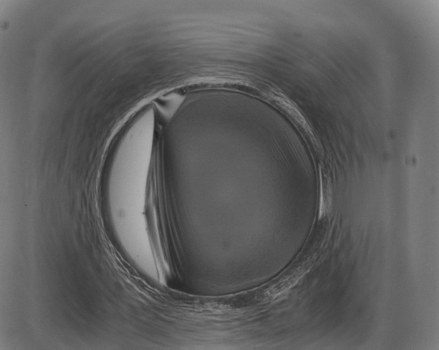 X0000083980387200703161602