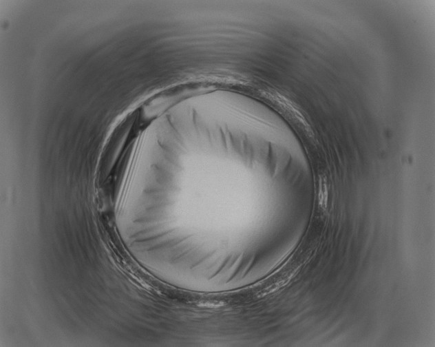 X0000083980388200703161602